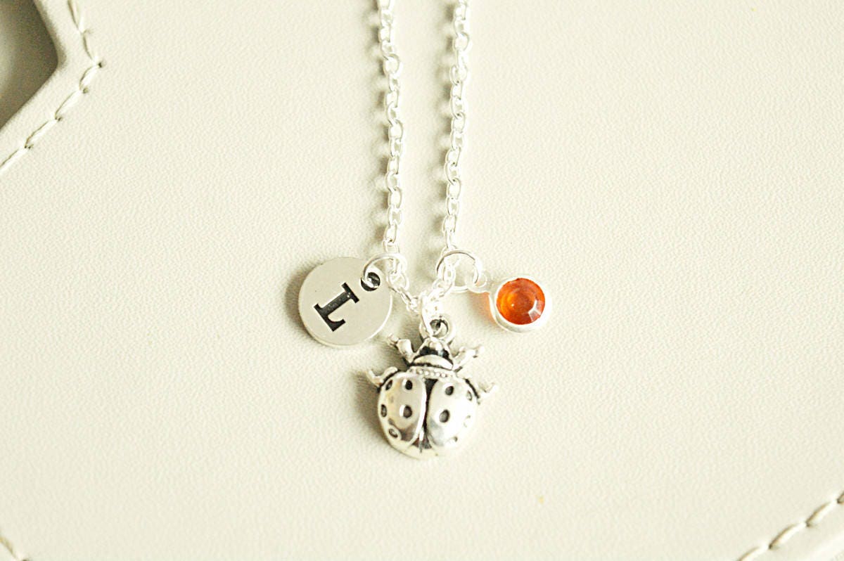 Lady Bug Necklace, Lady Bird Jewelry, Silver Necklace for friend, Insect Necklace, hand stamped gift, summer, ladybug, insect, garden