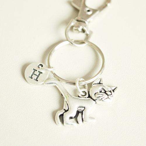 Cat Keychain, Cat Gift for Her, Cat Lover gifts, Cat Owner Keyring, Cat charm keychain, Pet Loss Gift, Cat memorial, Cat Keepsake, Paw gift