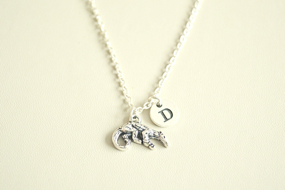 Armadillo Necklace, Armadillo Gift, Armadillo Jewelry, Armadillo Lover, Animal Gift, Animal Jewelry, Silver Necklace, Animal Lover, Children