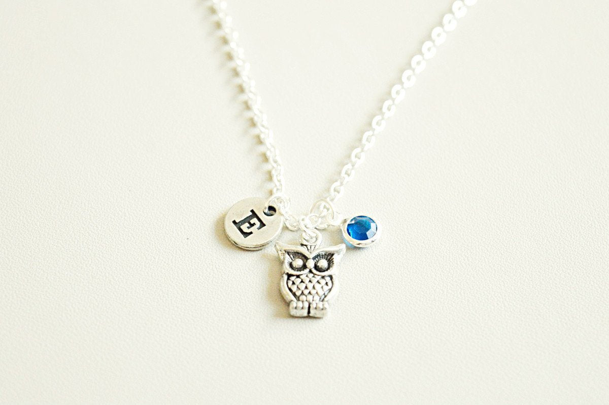 Owl Necklace, Owl Charm Necklace, Silver Owl Necklace, Owl Jewelry, Owl Gift, Owl Charm Jewelry, Owl Lover, Owl Theme,Owl Fan, Personalized